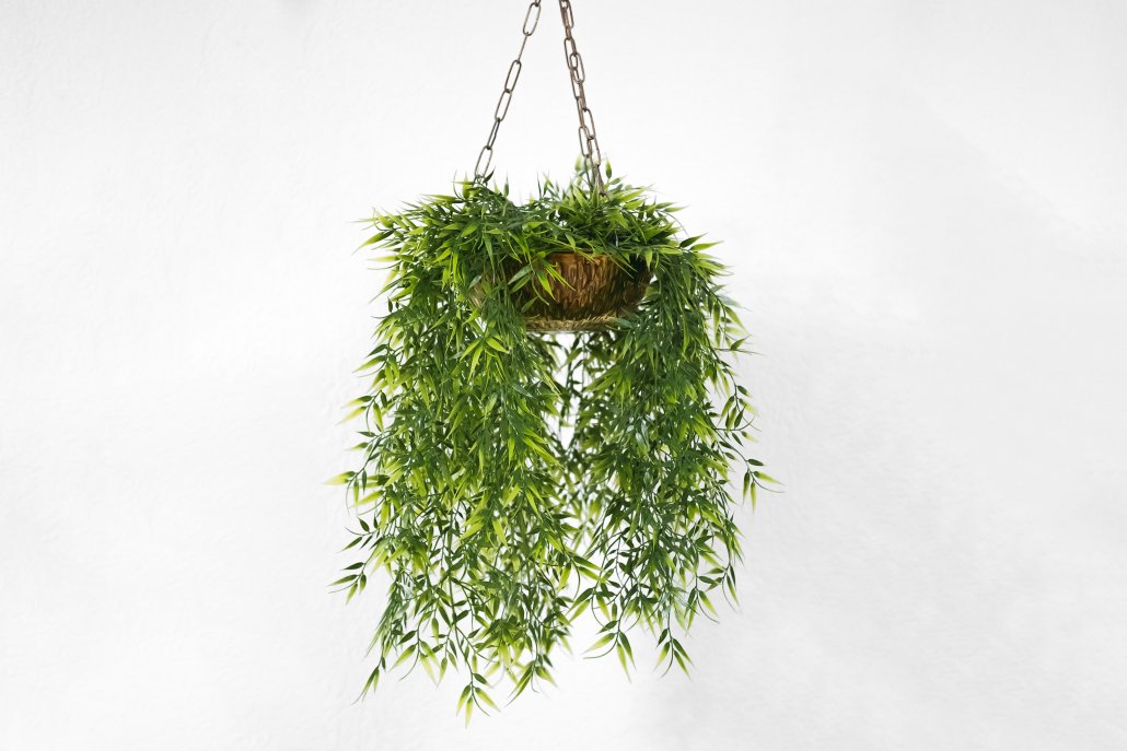 Save Space with Hanging Planters